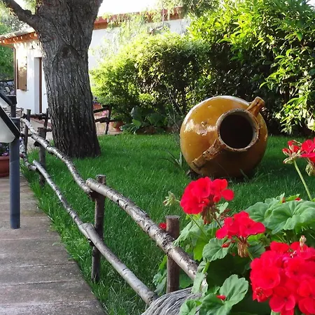 Bed And Breakfast La Casetta Macchia di Monte