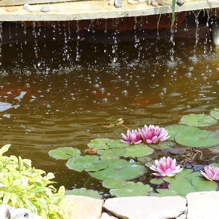 La Casetta 3* Macchia di Monte