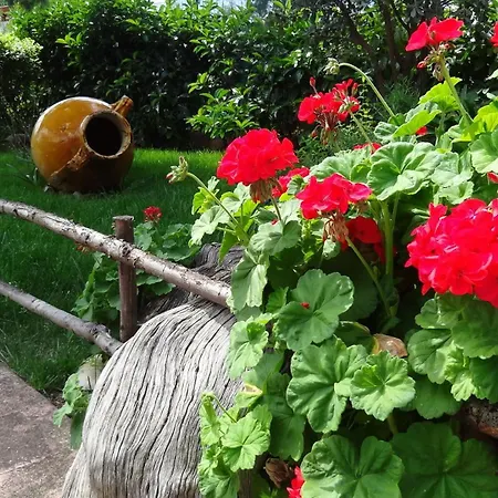 Bed & Breakfast La Casetta Macchia di Monte