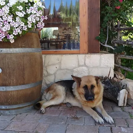 Bed & Breakfast La Casetta