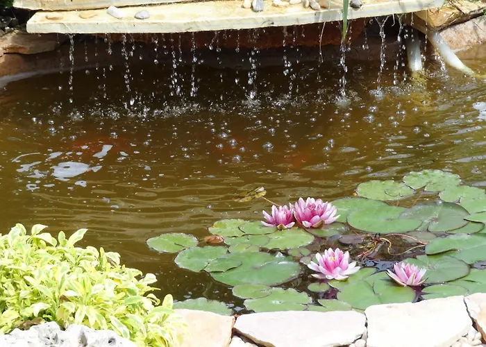 La Casetta 3* 마키아 디 몬테