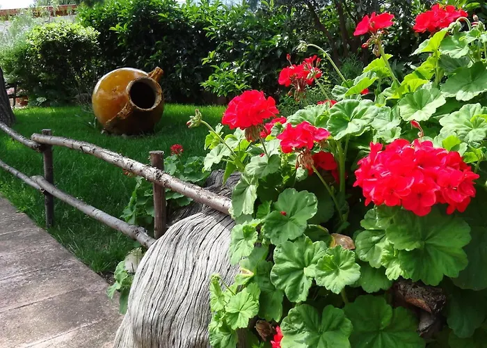 B&B La Casetta 마키아 디 몬테